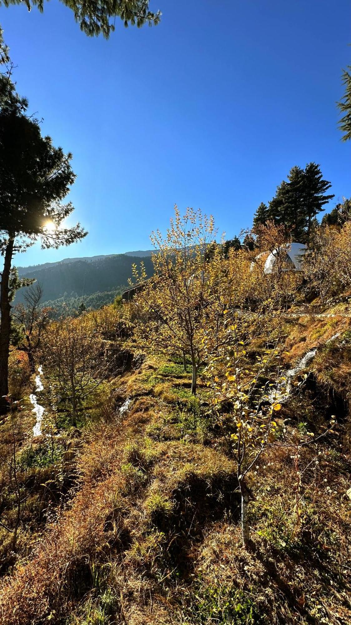 Fayul Retreat - India Highest Glamp And Ecoluxury Stay Kalpa Exterior foto